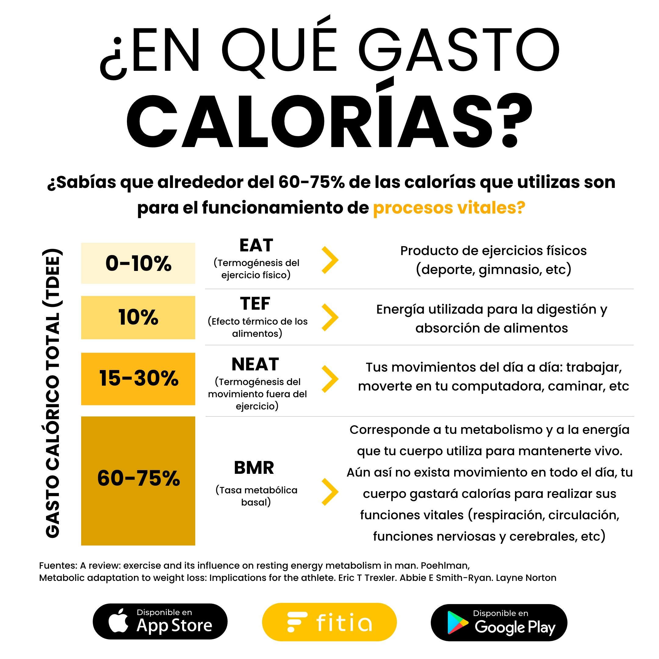 como-calcular-o-deficit-calorico-infoupdate