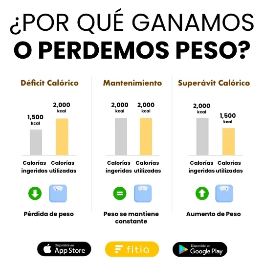 Por que ganamos o perdemos peso - balane energético