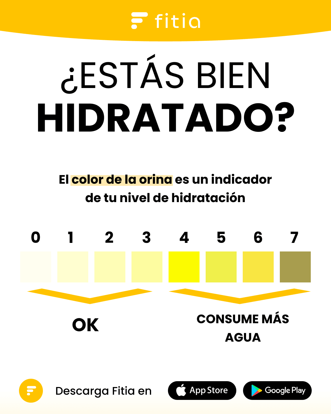 Cuanta agua tomar al día 1