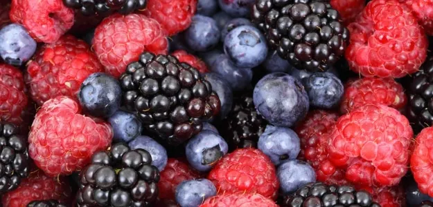 moras, fresas, frutos rojos, arandanos