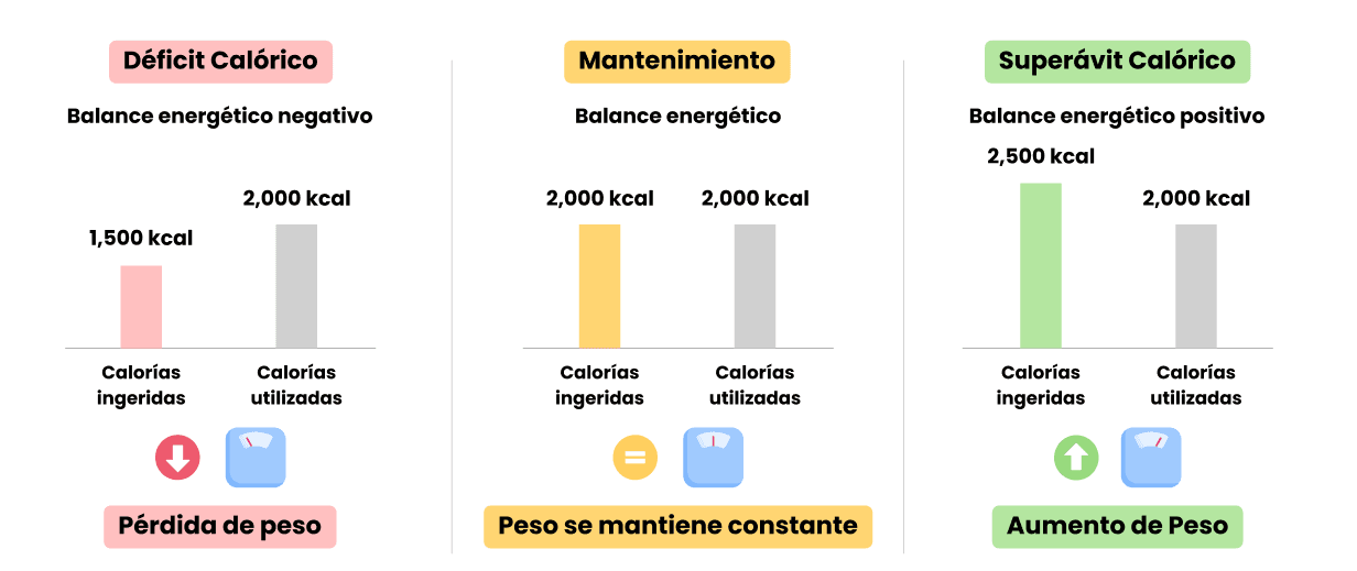 Balance energético.png