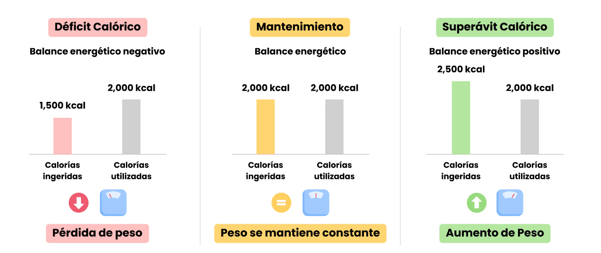 Balance energético.png