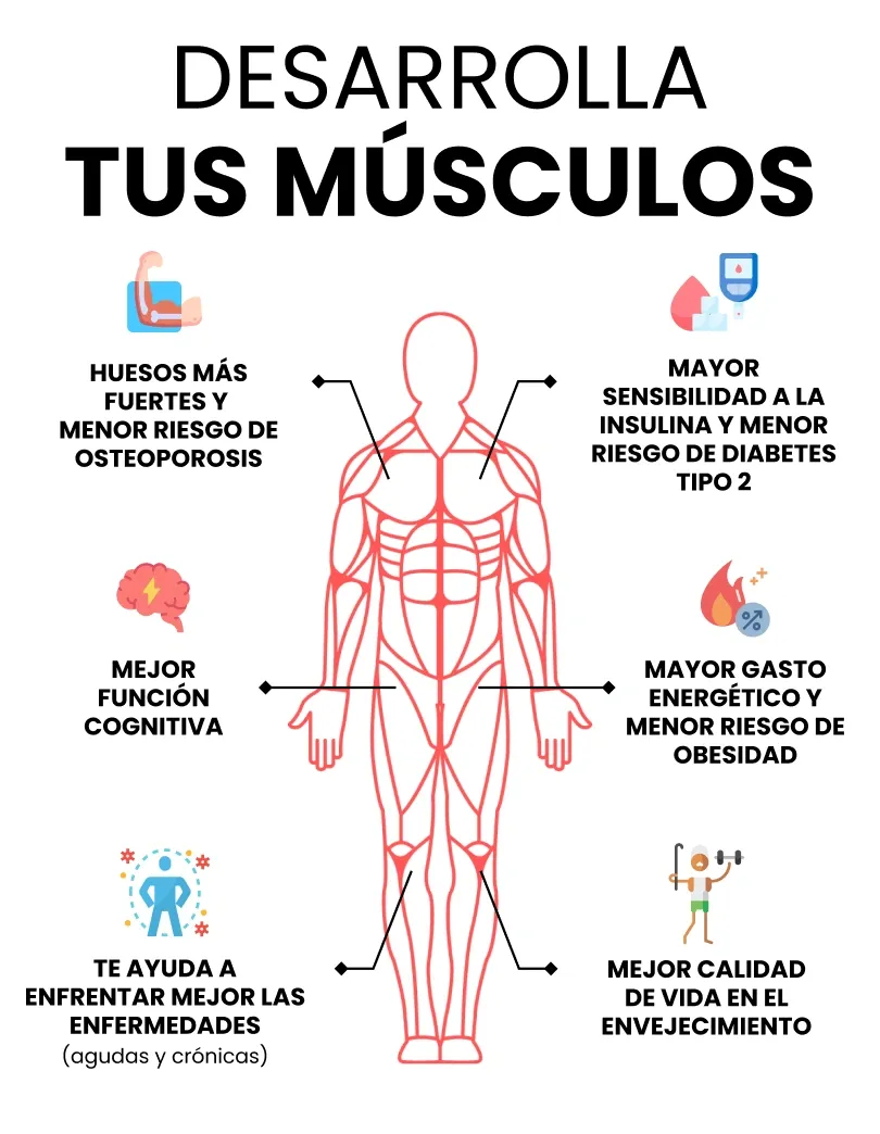 Beneficios de la masa muscular