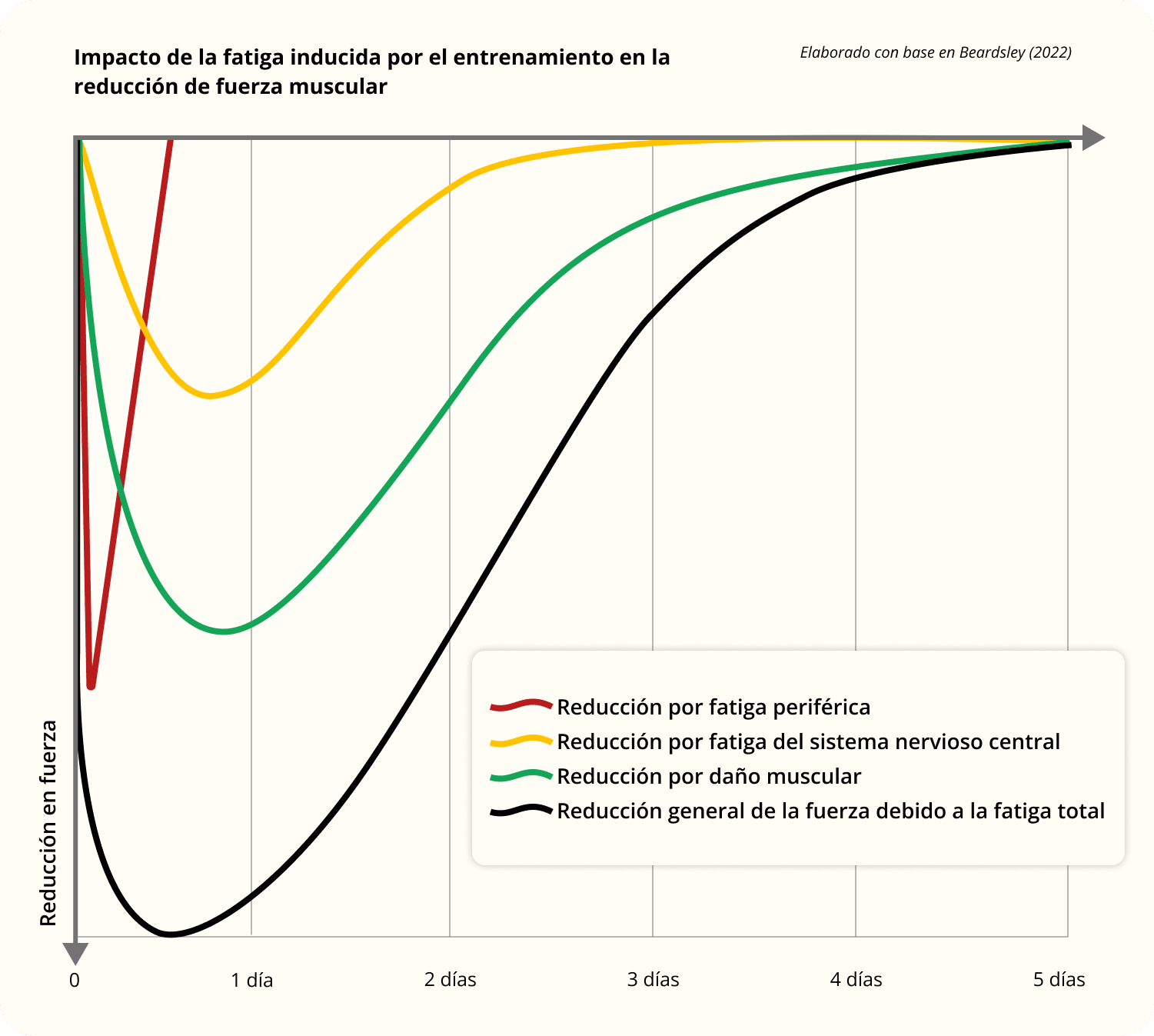 ¿Cómo impacta la fatiga en la fuerza muscular?