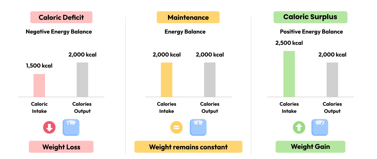 Energy Balance.png