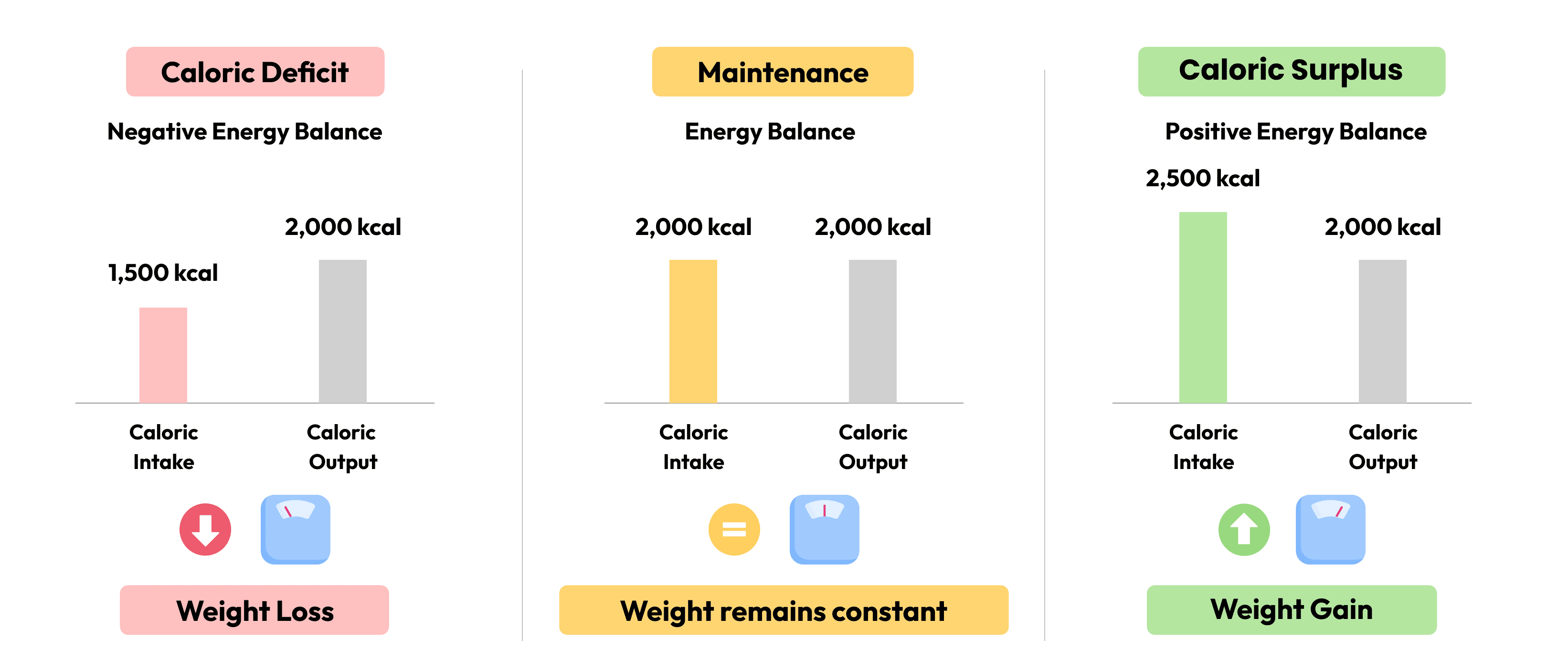 Energy Balance