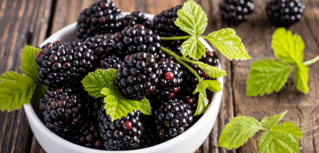 Moras.png
