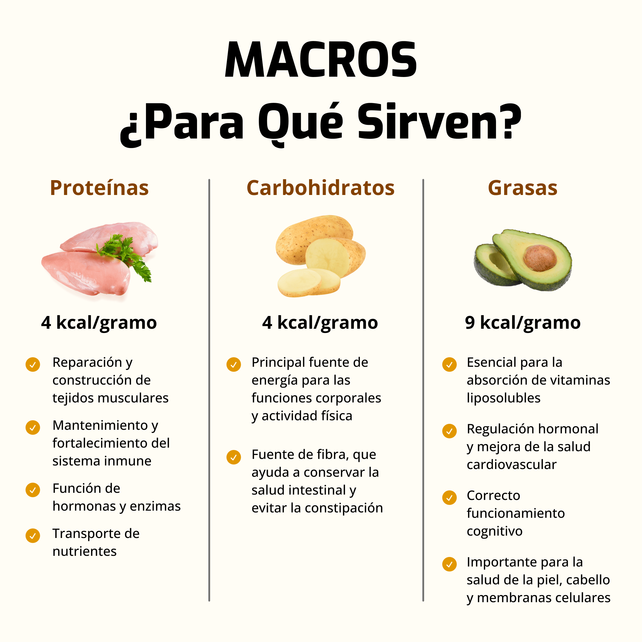 Macronutrientes, proteínas, grasas, carbohidratos. Para qué sirven
