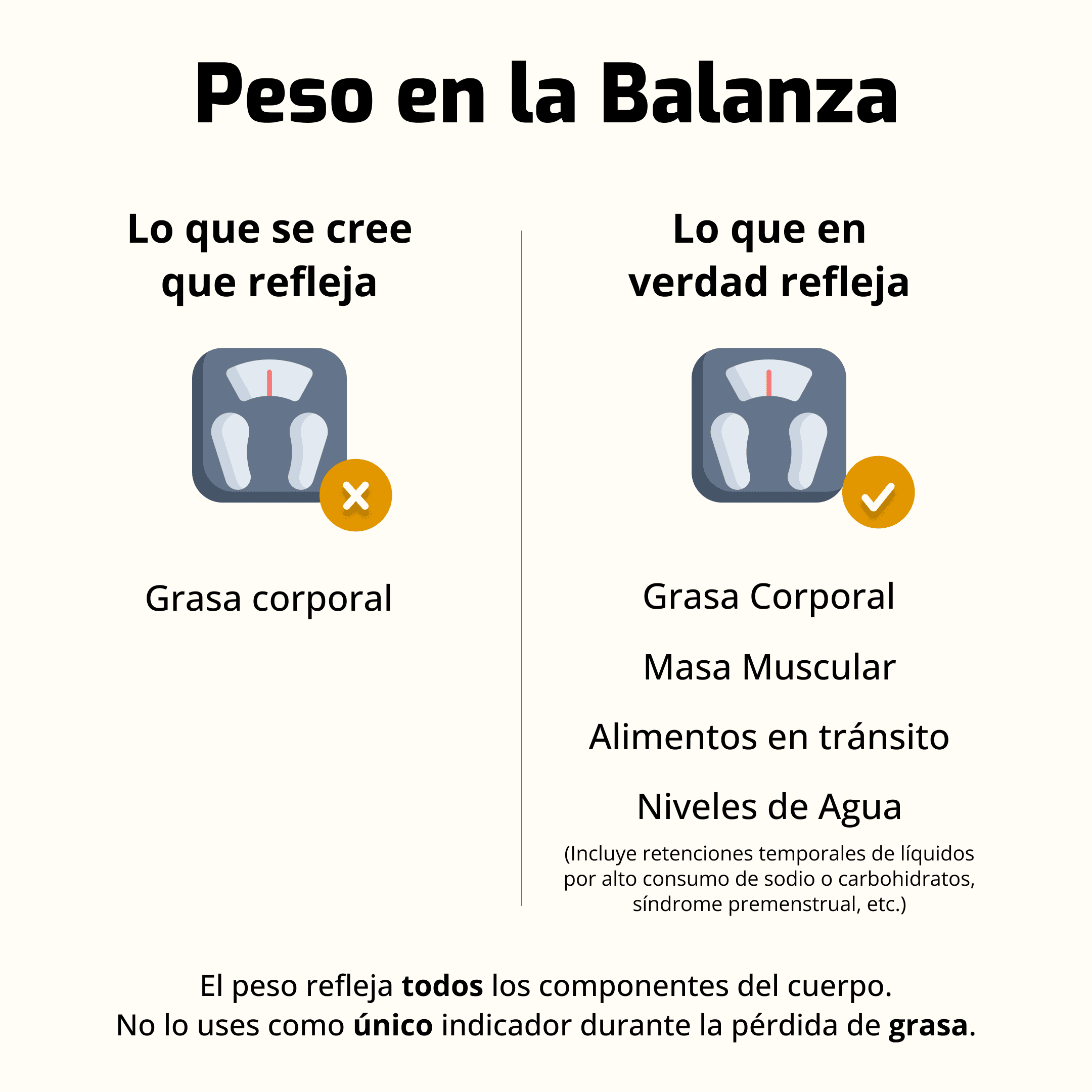 Peso en la balanza.png