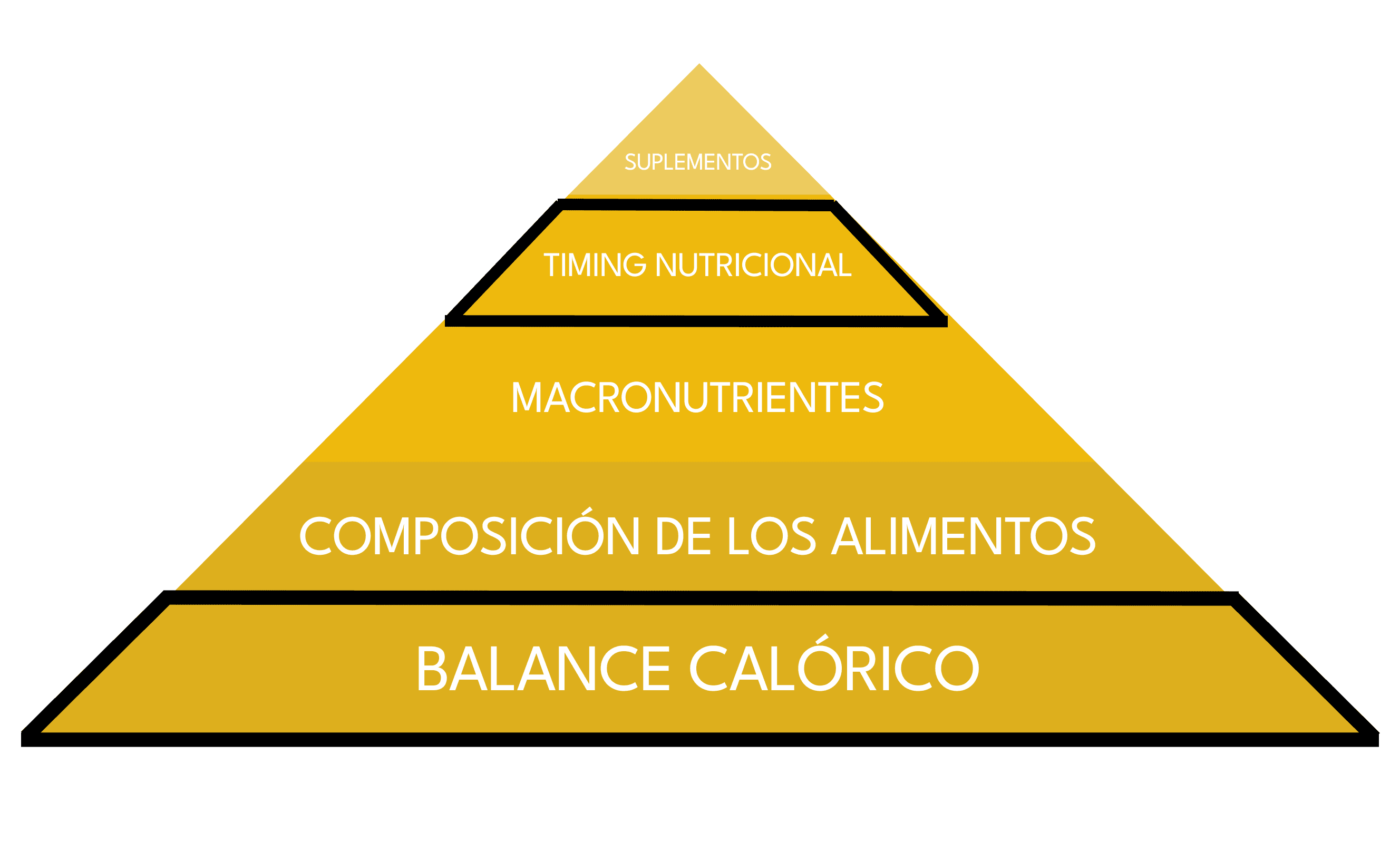 Pirámide nutricional