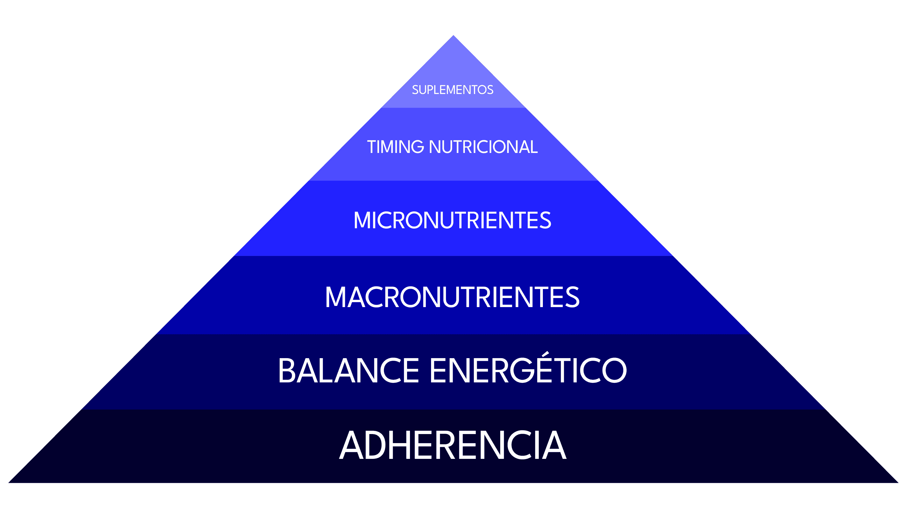 Pirámide Nutricional del Dr. Eric Helms