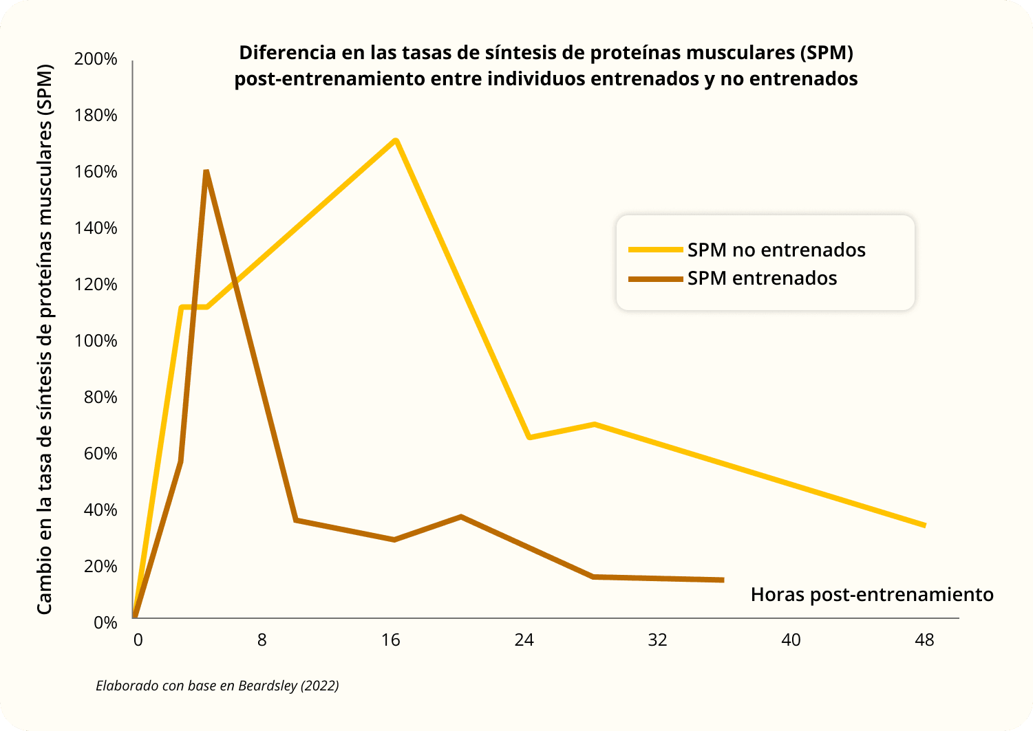 Descubre cómo el ejercicio aumenta la síntesis de proteínas en personas entrenadas y principiantes.