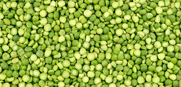 arverja partido fuente de proteína vegetal