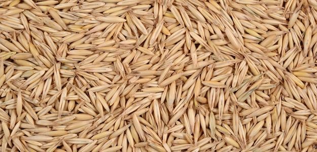Avena cruda