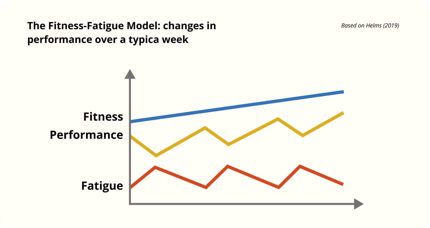 Chart illustrating the Fitness-Fatigue Model, showing changes in fitness, fatigue, and performance over a typical week, based on Helms (2019).