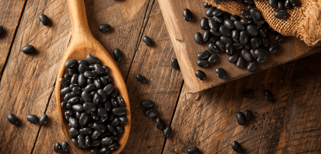 frijoles proteínga vegetal