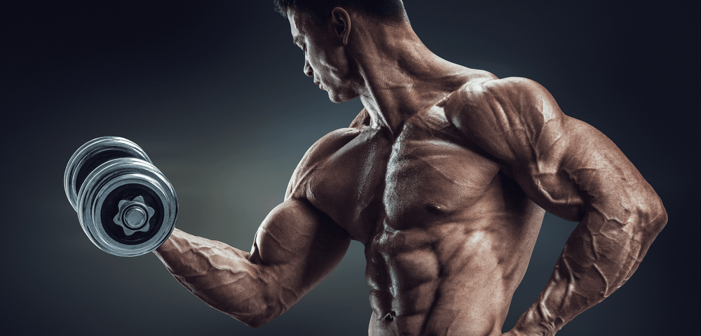 4 Premium Nutrition Trackers Ranked for Bodybuilding by Cost and Value
