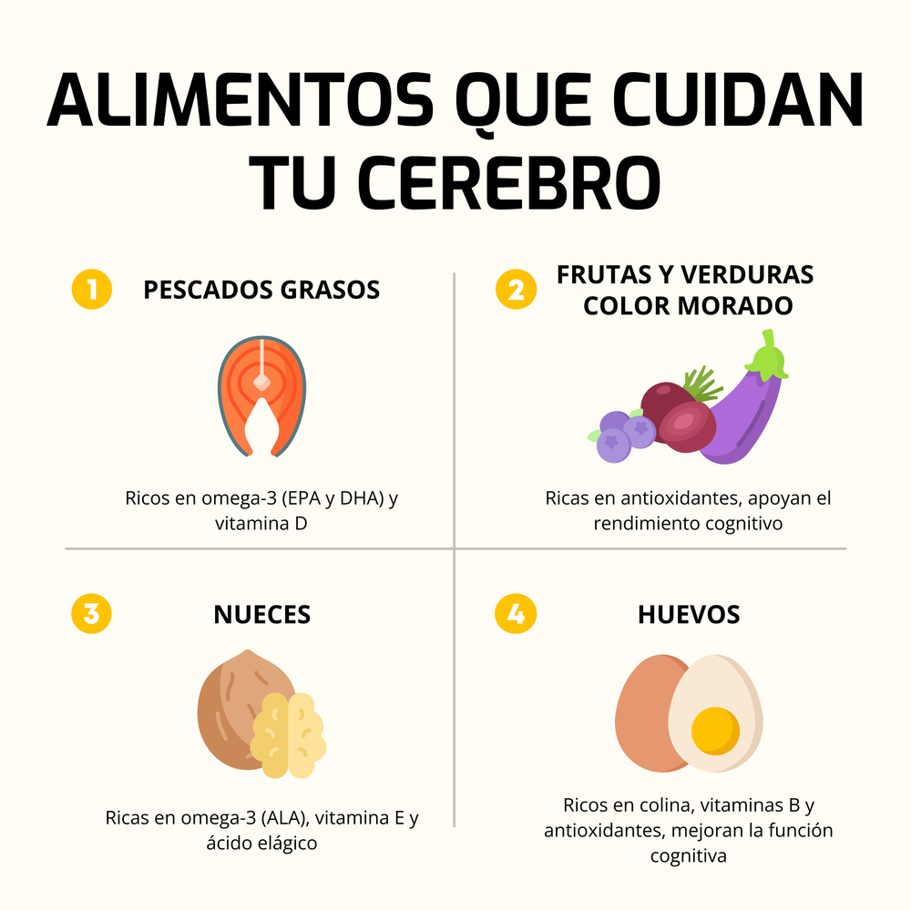 Estos alimentos protegen y fortalecen tu cerebro - Parte 1