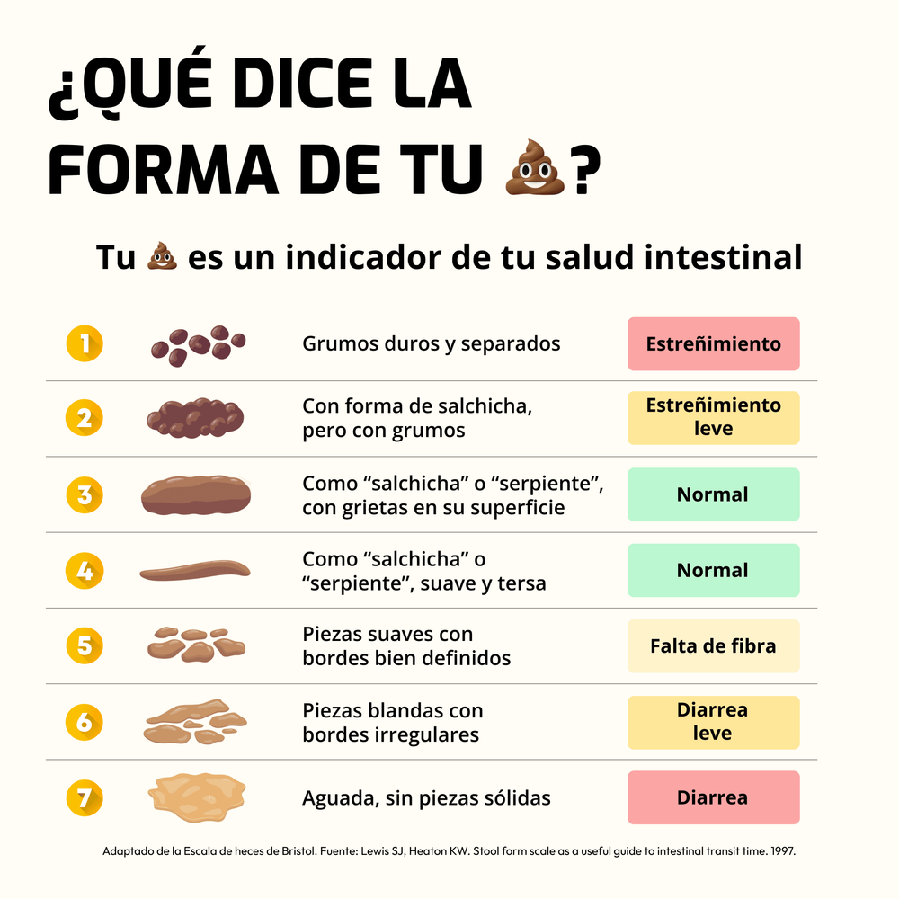 Escala de Bristol mostrando tipos de heces, estreñimiento y salud intestinal.