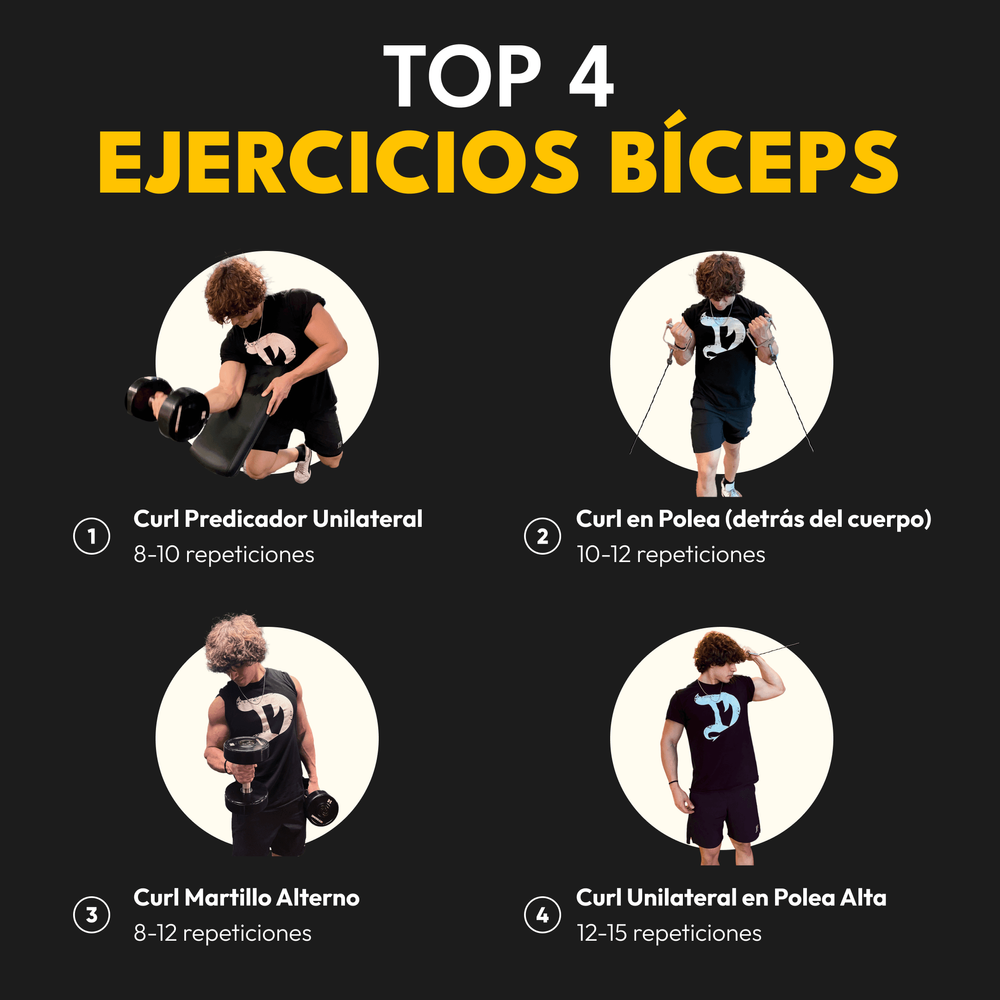 Los 4 Mejores Ejercicios Para Bíceps  (1)