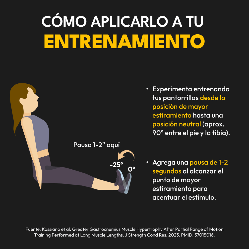Nueva Evidencia Científica Transforma el Entrenamiento de Pantorrillas (5)