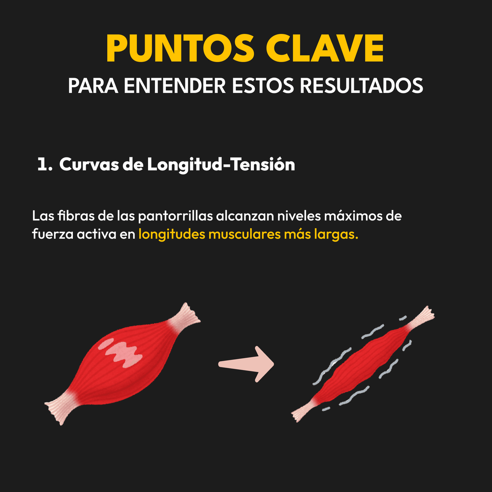 Nueva Evidencia Científica Transforma el Entrenamiento de Pantorrillas (2)
