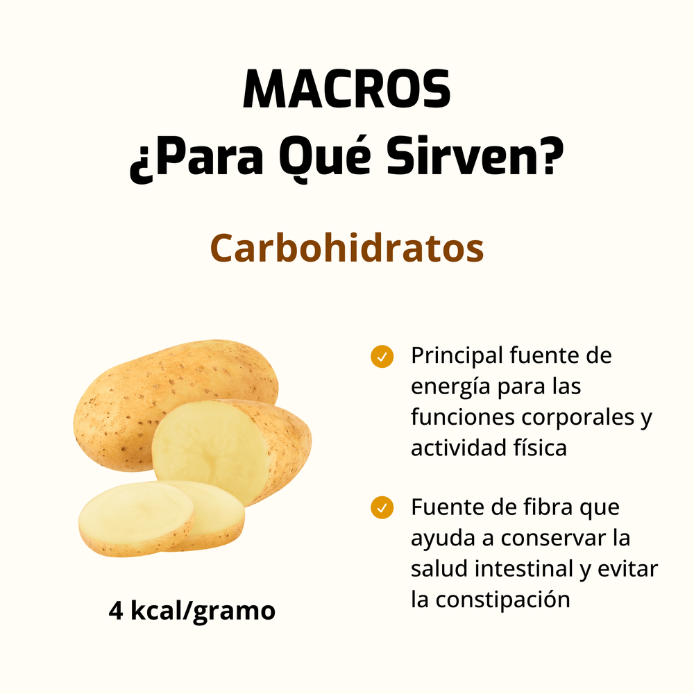 Descubre la importancia de los carbohidratos