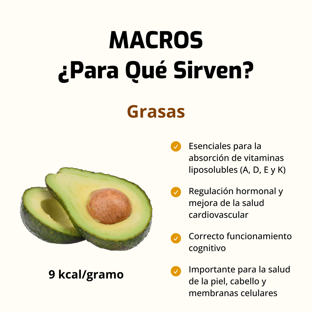 Descubre la importancia de las grasas