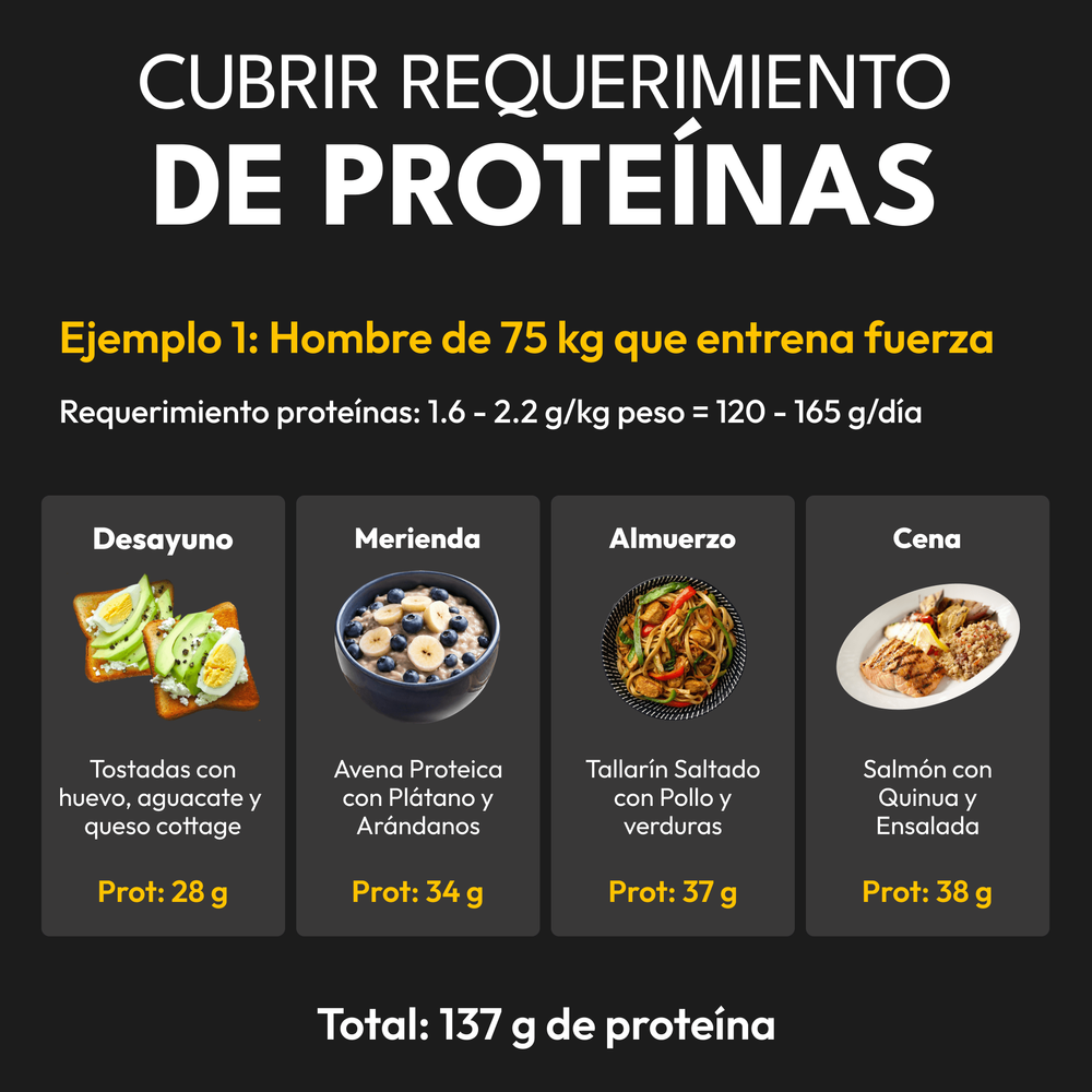 requerimientos proteínas