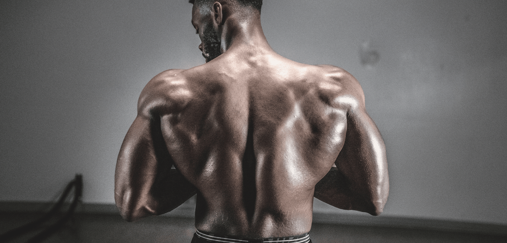 The Best App for Muscle Gain: 2025 Review and Comparison