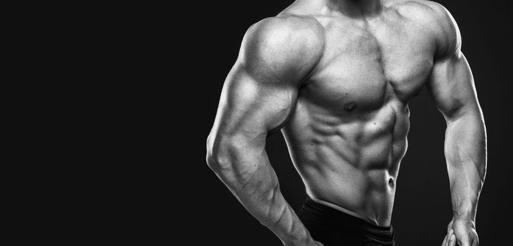 Which Diet Is Best to Get Shredded Heading Into 2026