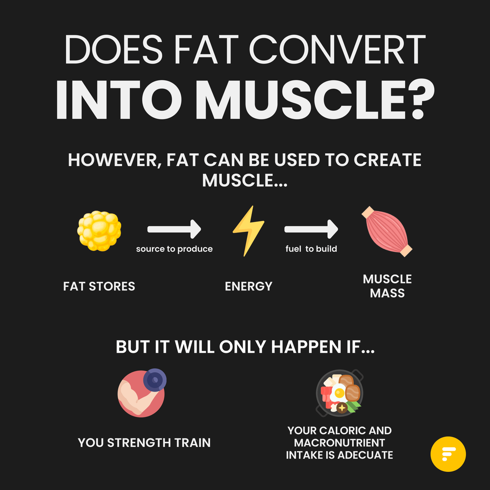 Does Fat Convert Into Muscle? (2)