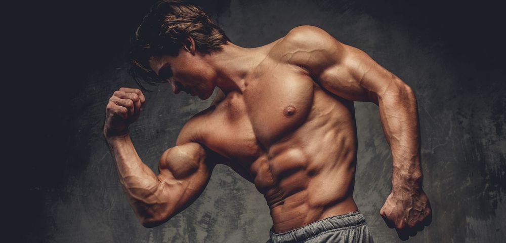 How to Gain Muscle?