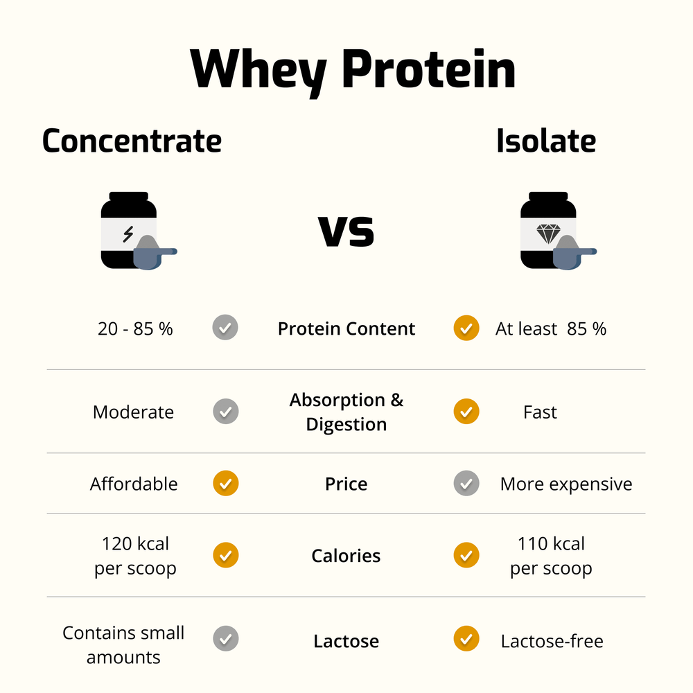 Comparison chart of whey protein concentrate vs isolate, highlighting differences in protein content, absorption, price, calories, and lactose content.