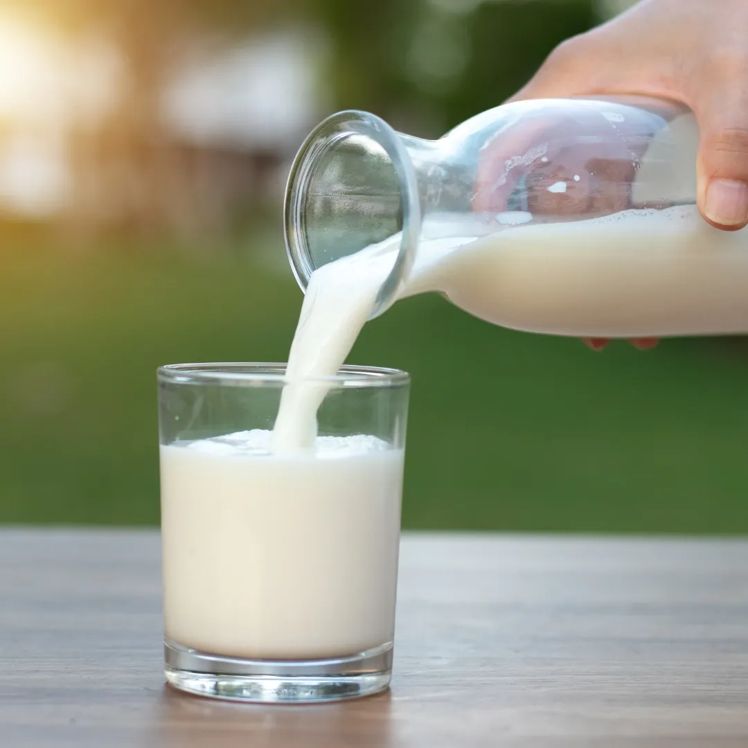 Leche entera, 3.2 g de proteína por 100 g