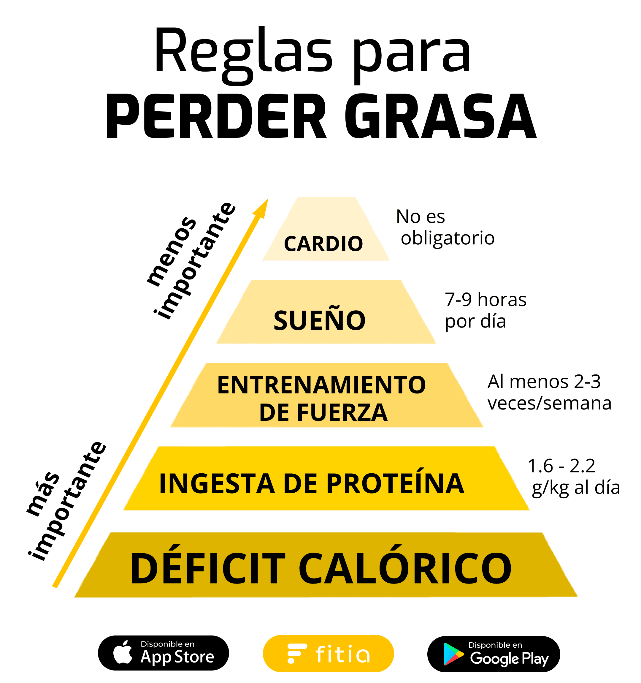 ¿Qué es lo más importante para perder peso? Déficit calórico, ingesta de proteína, entrenamiento de fuerza, sueño, y cardio. Perder Grasa