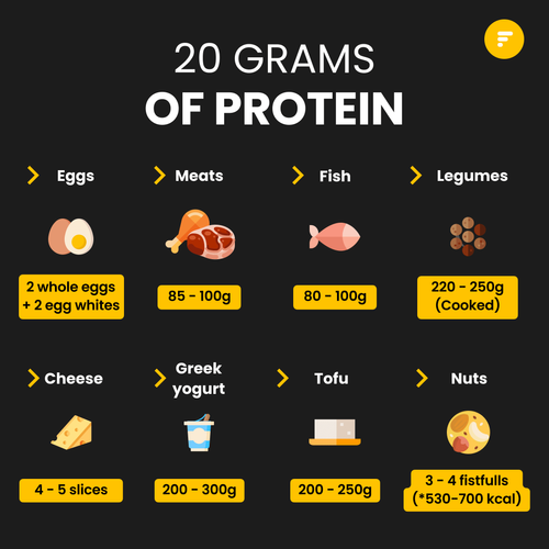 How To Obtain 20 Grams Of Protein