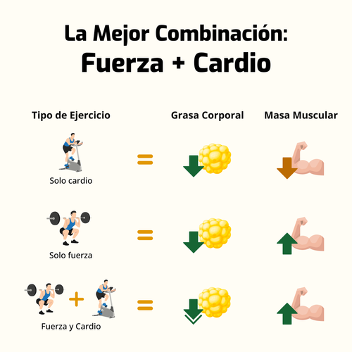 Ejercicios: solo cardio, solo fuerza y fuerza + cardio, con efectos en grasa y masa muscular.