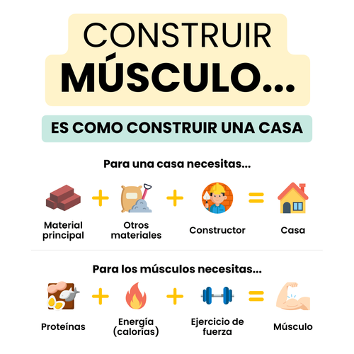 Las 3 Claves para Ganar Músculo
