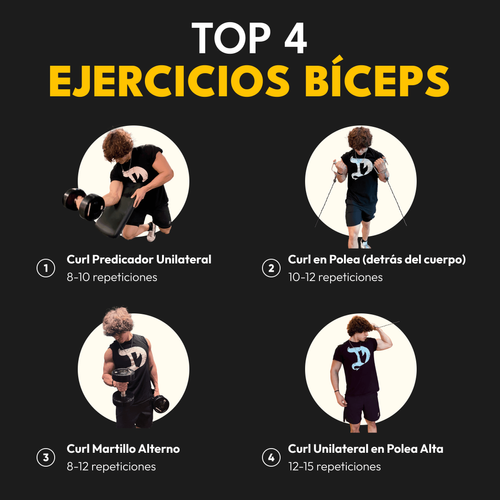 Los 4 Mejores Ejercicios Para Bíceps