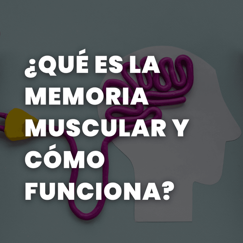 Memoria muscular - Fitia