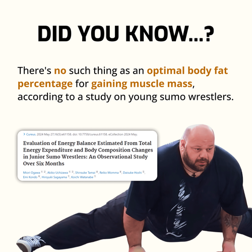 Optimal Body Fat Percentage for Muscle Gain - Part 1