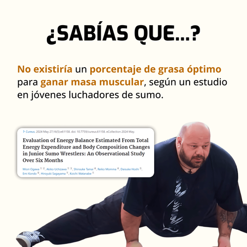 Porcentaje de grasa óptimo y ganancia muscular parte 1