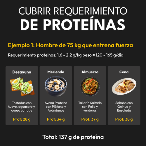 requerimientos proteínas