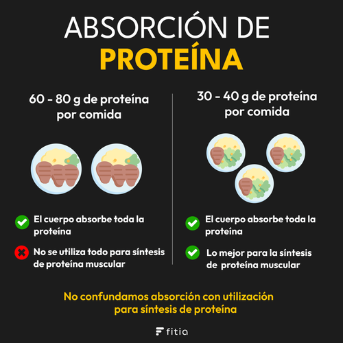 ¿Hay un Máximo de Proteínas que Absorbemos por Comida?