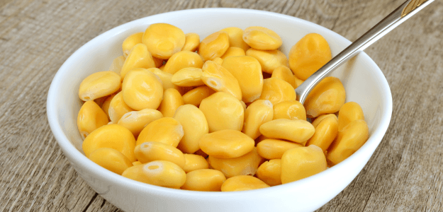 tarwi, chocho, proteína vegetal