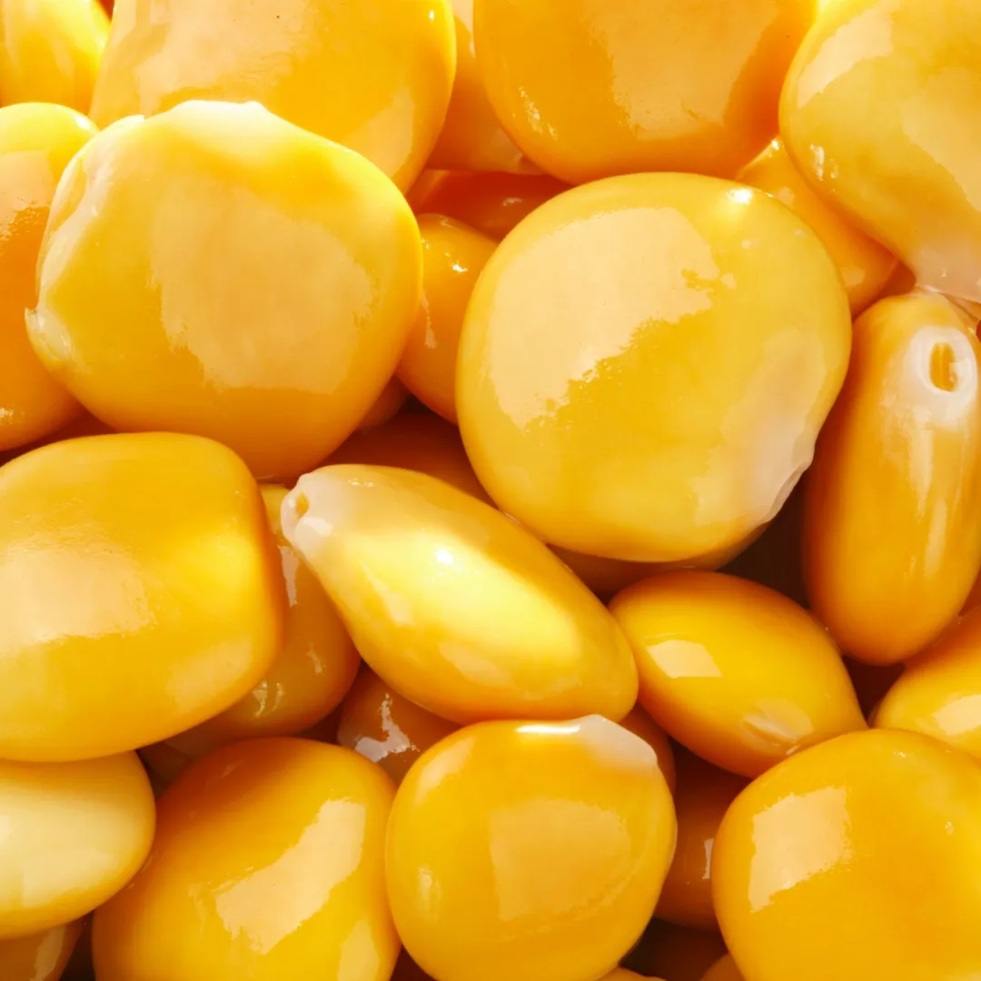 Tarwi/lupino, 15.6 g de proteína por 100 g.