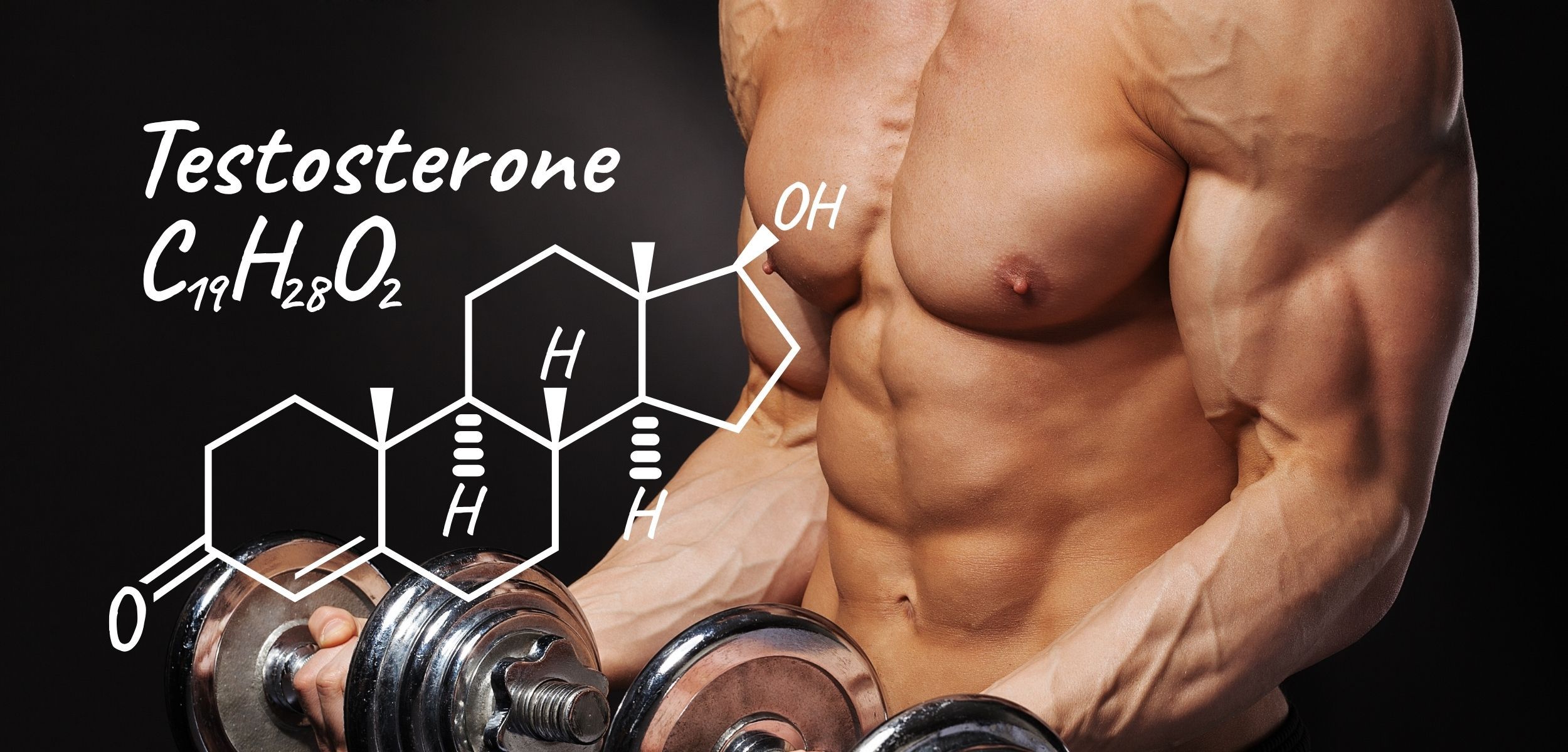 testosterona